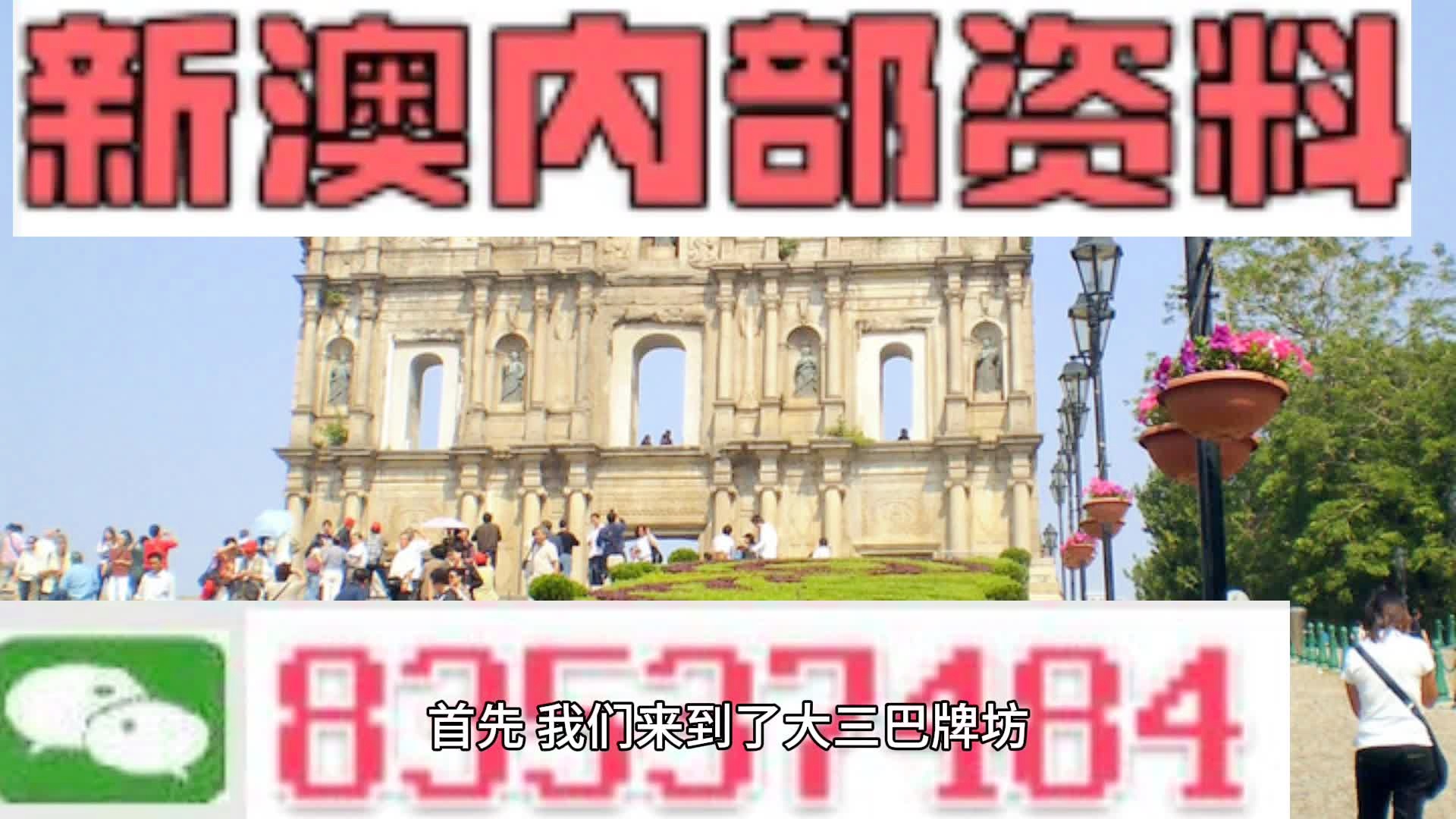 新澳门正版免费资料怎么查｜精选解释解析落实